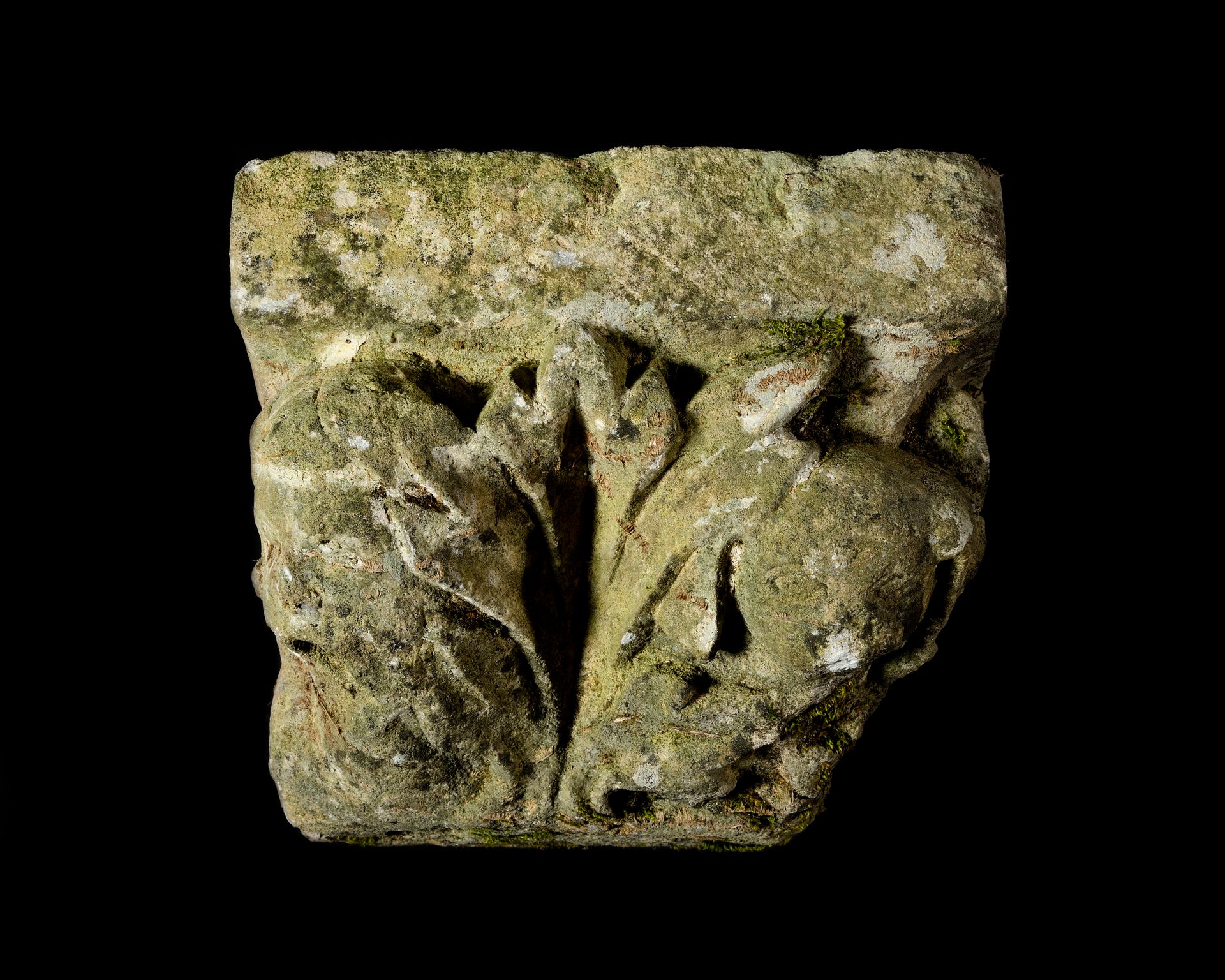 Null 石灰石雕刻的角帽，饰有叶丛中的狗头和人头。
14 世纪
高：22 厘米；宽：26.5 厘米；深：25 厘米
(事故和侵蚀）