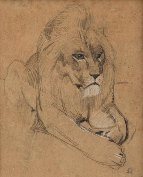 MEHEUT MATHURIN (1882-1958) Lion couché Dessin au fusain et à la craie blanche. &hellip;