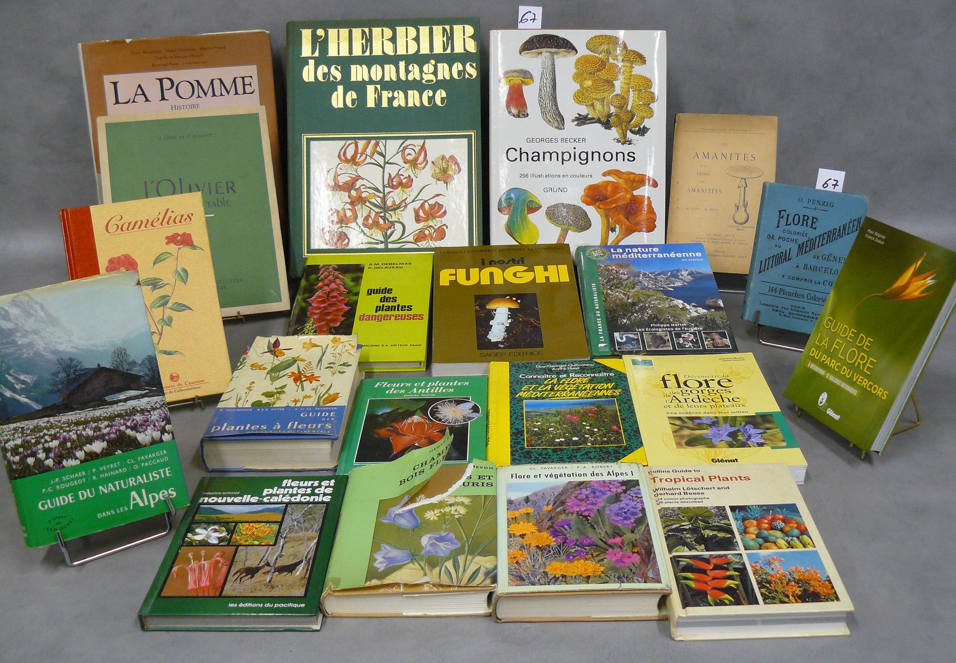 FLORE lot of 20 books on flora, mushrooms, including a book in Italian: Funghi