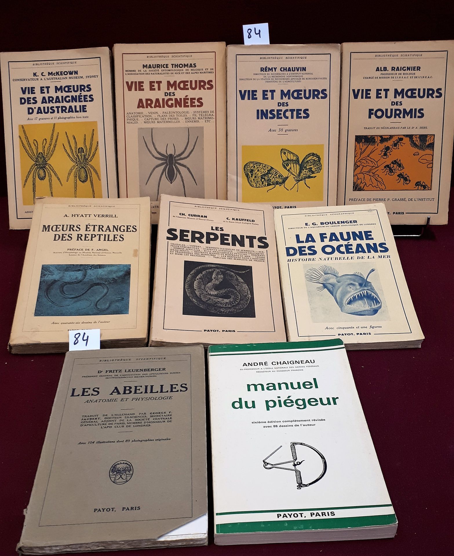 Insectes,Reptiles lot of 9 books on insects and reptiles, spiders etc.. Payot co&hellip;