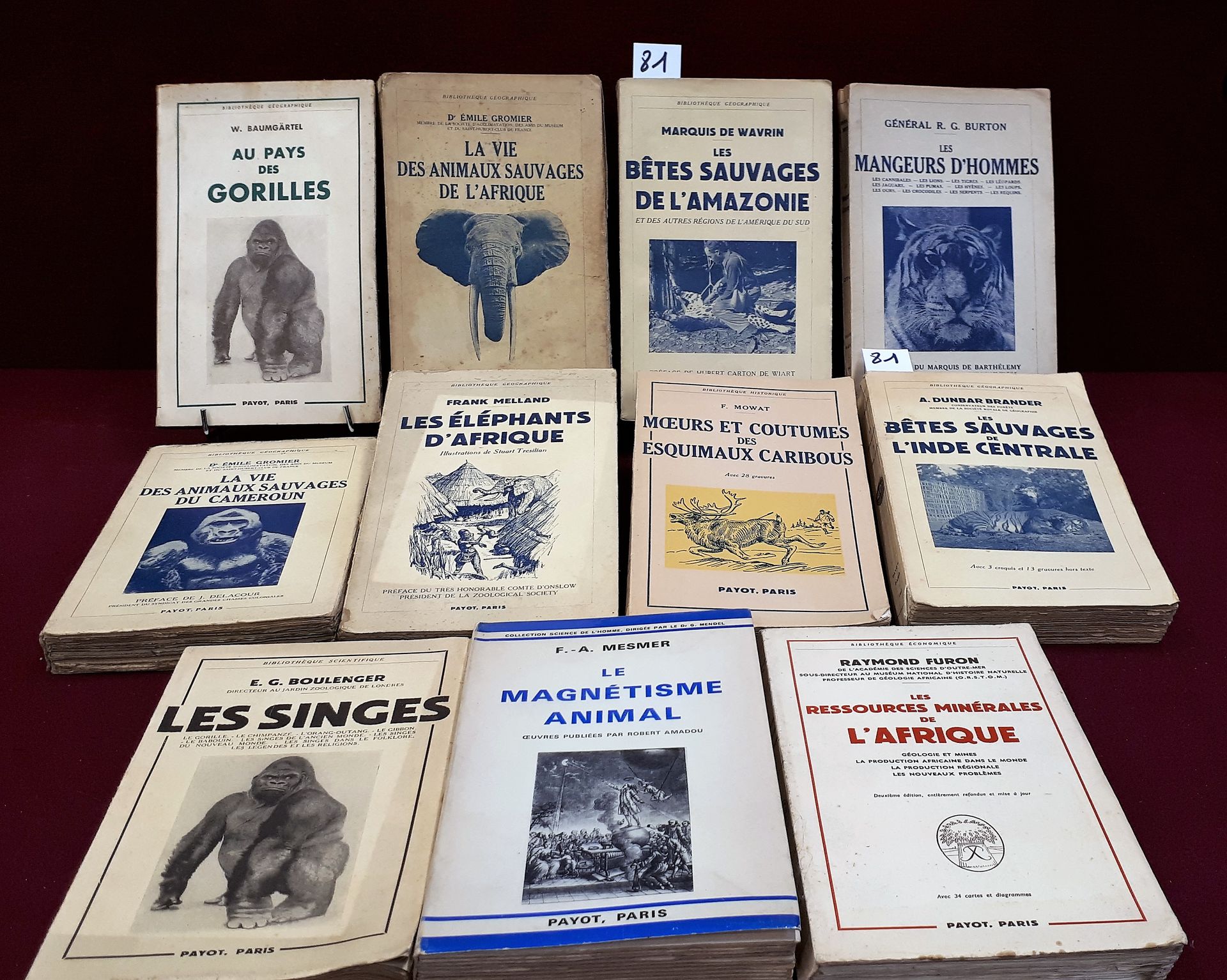 Animaux sauvages 11本关于野生动物的书籍，Payot收藏，包括：au pays des gorilles。