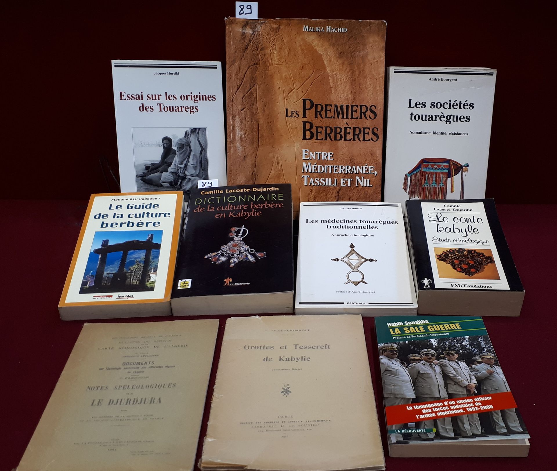 AFRIQUE DU NORD Paket mit 10 Büchern über Nordafrika, darunter: Tuareg-Gesellsch&hellip;