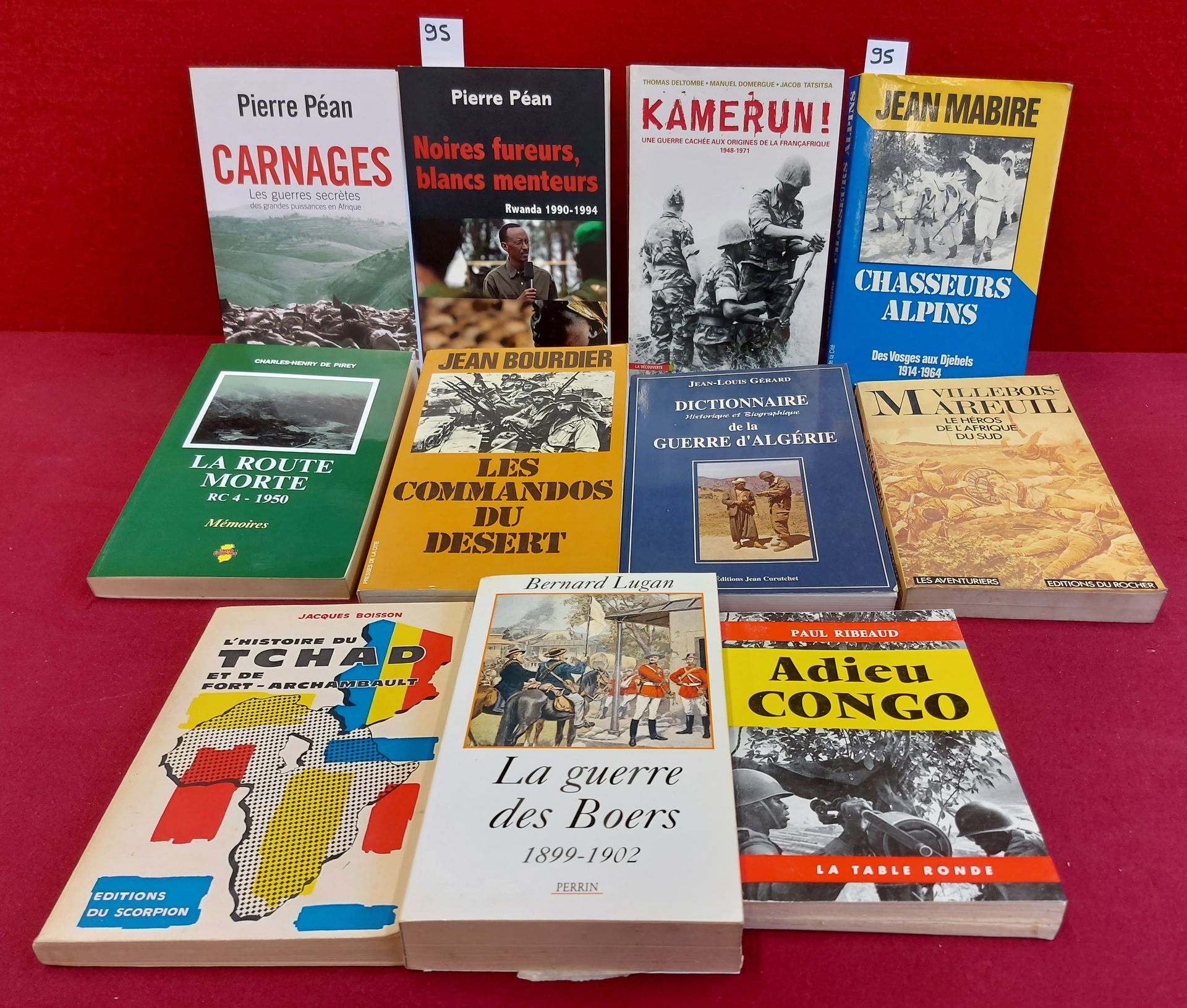 Guerres d'Afrique 一批11本关于非洲战争的书籍，主要包括:孚日山脉的阿尔卑斯军团与吉贝尔军团