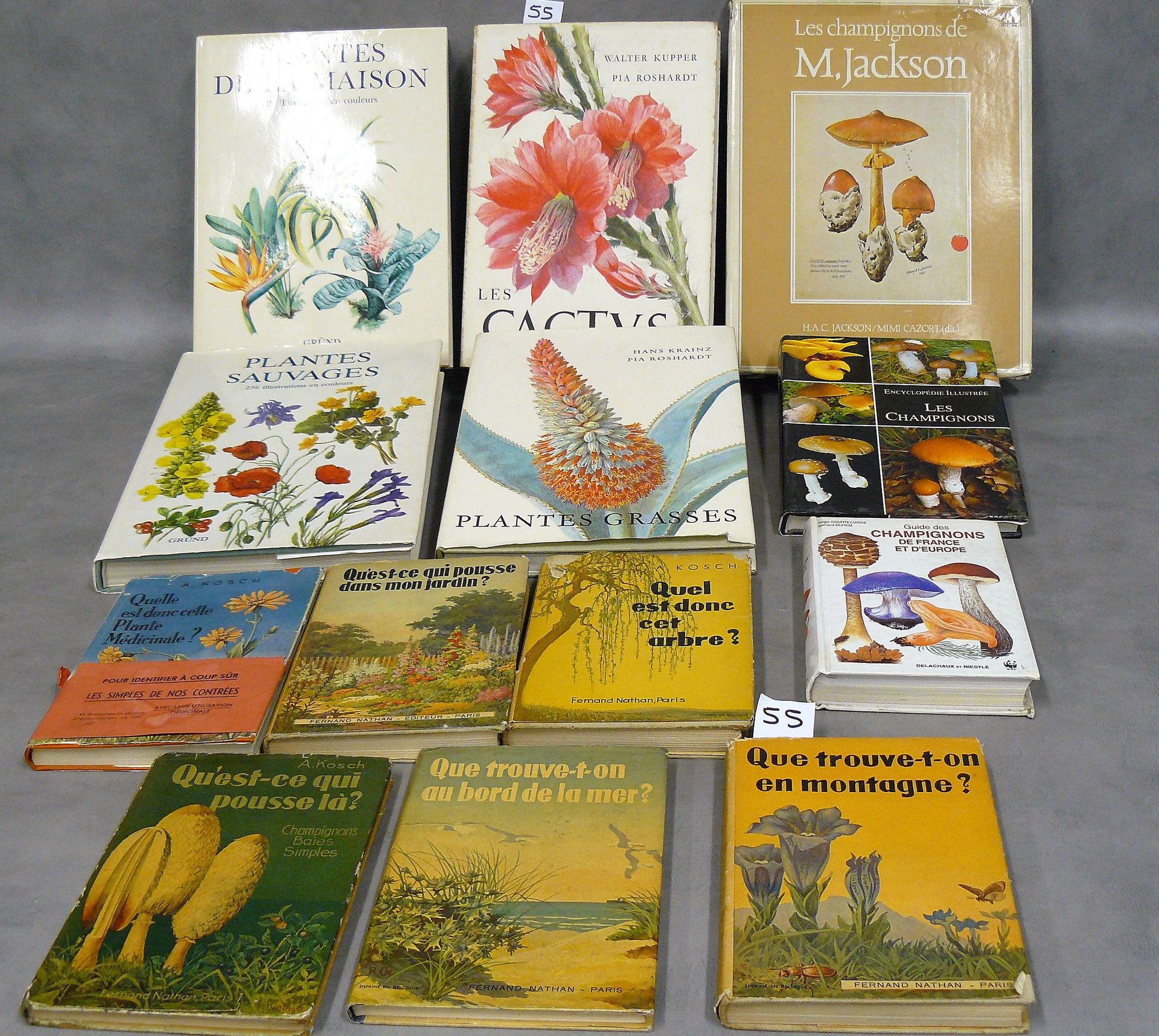 Plantes et Jardins lot of 13 books on plants including: cactus and naturalist gu&hellip;