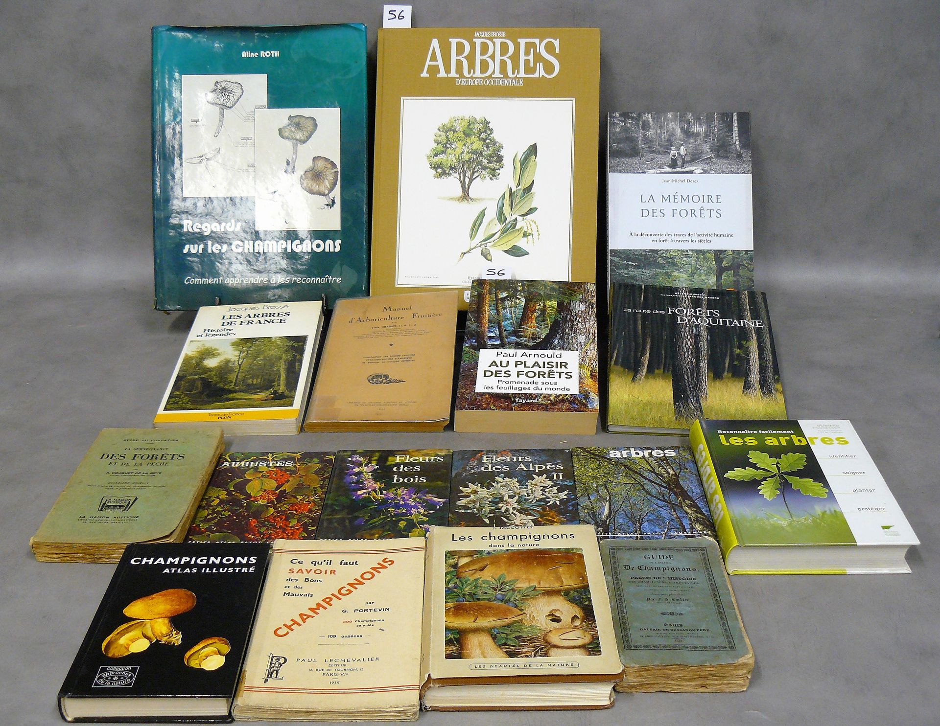 Arbres et Champignons 一批17本关于树木、森林和蘑菇的书，包括：看蘑菇