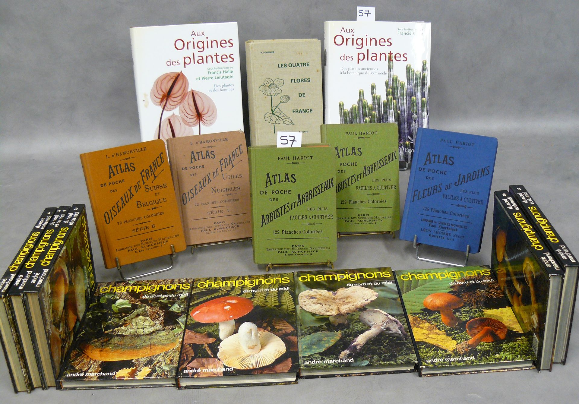 Plantes, Oiseaux et Champignons 一批17本关于植物、鸟类、蘑菇的作品，包括：袖珍地图集五卷和南北蘑菇九卷