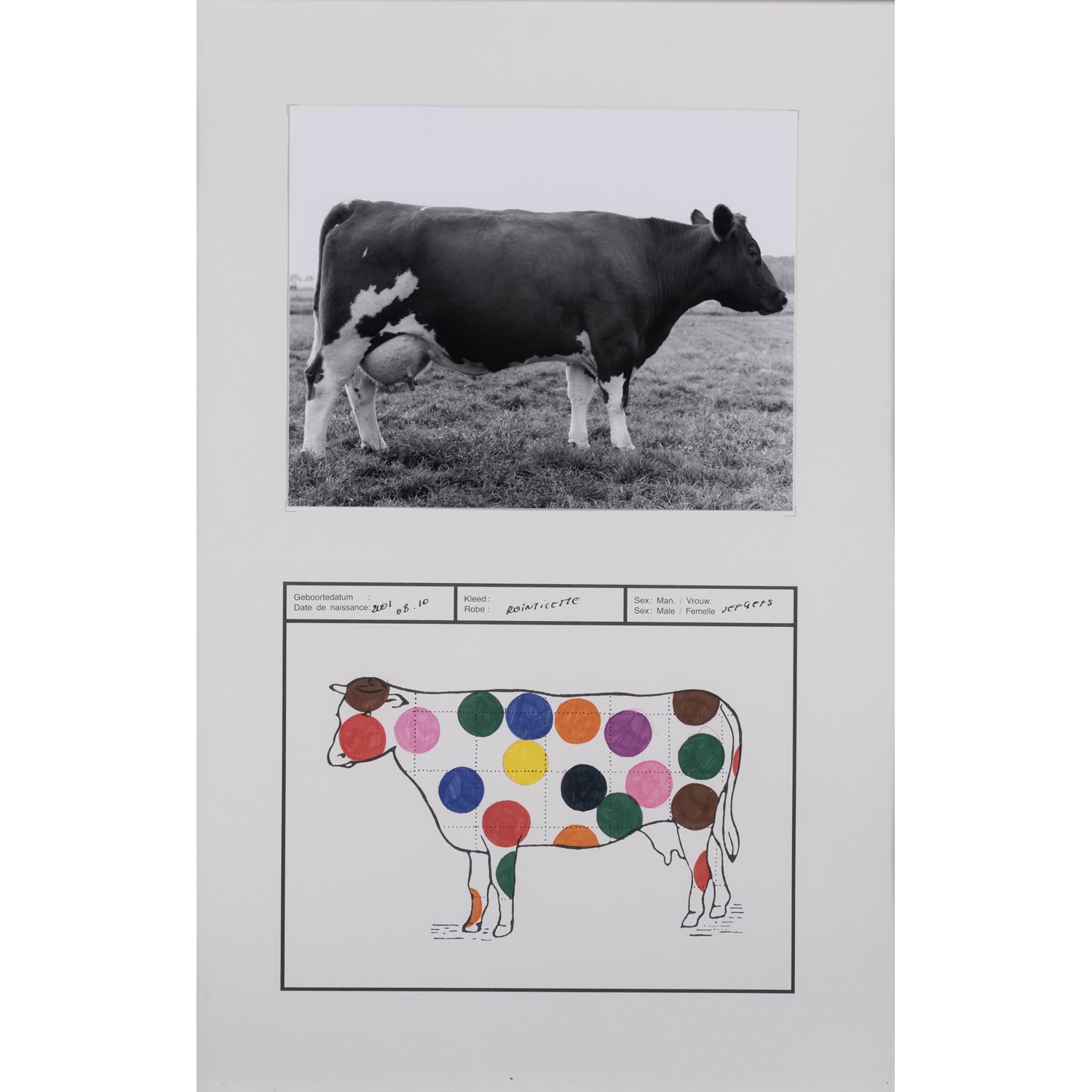 Null 杰夫-盖斯(1934-2018)

Koeienpaspoort（奶牛护照）Pointillette，（双联画），约2001年

纸上银印和彩色标记
&hellip;