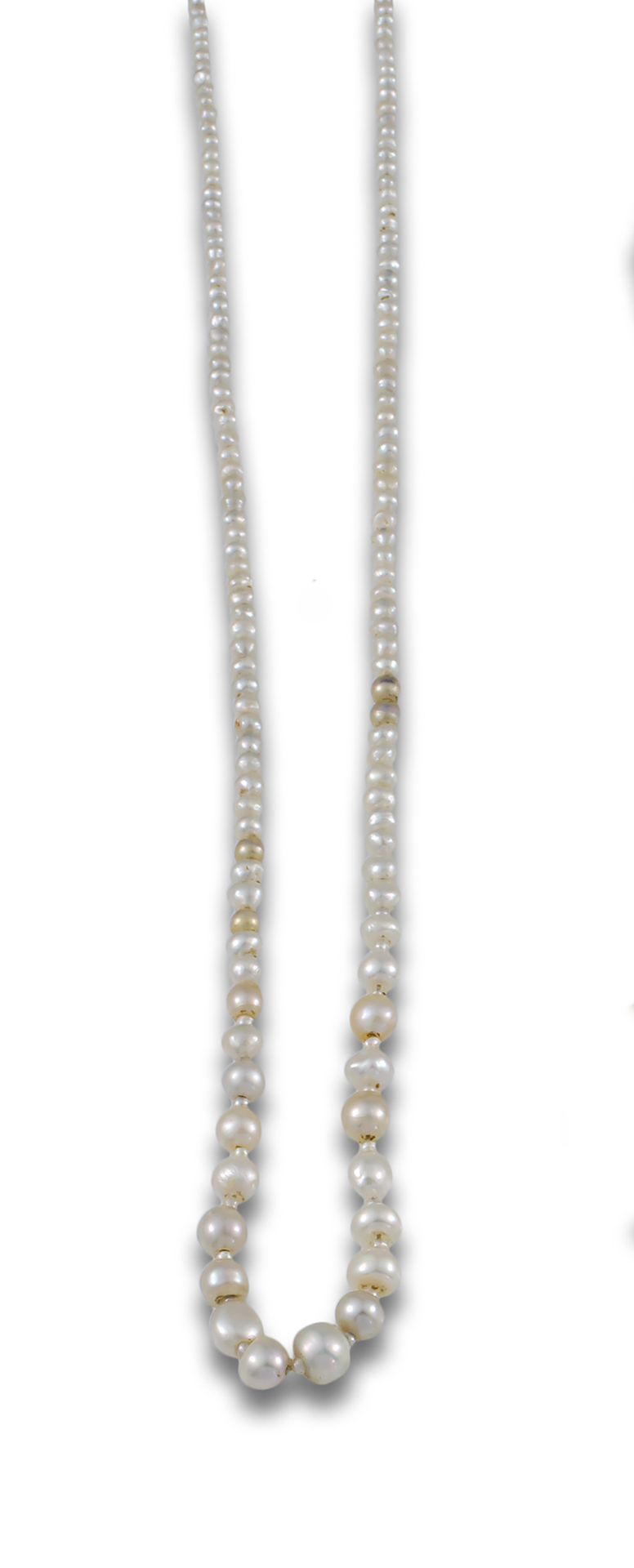 NECKLACE XIX PEARLS GOLD CLASP 项链，19世纪，养殖珍珠逐渐减少，18K黄金扣，镶有钻石 .