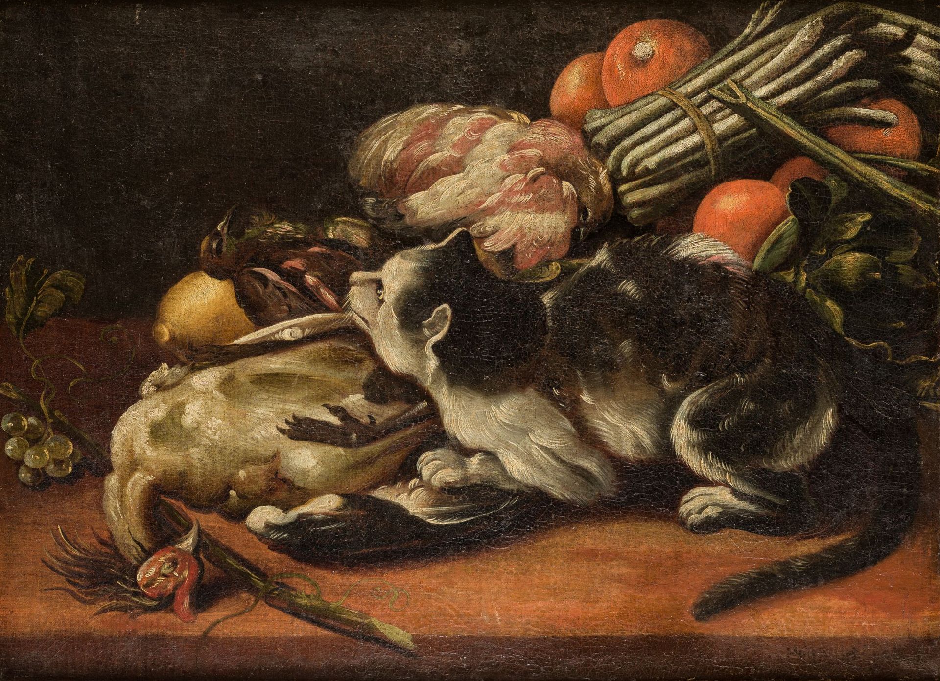 FLAMENCO SCHOOL ( XVIII C/ .) "Kitchen still life with cat and birds" . Olio su &hellip;