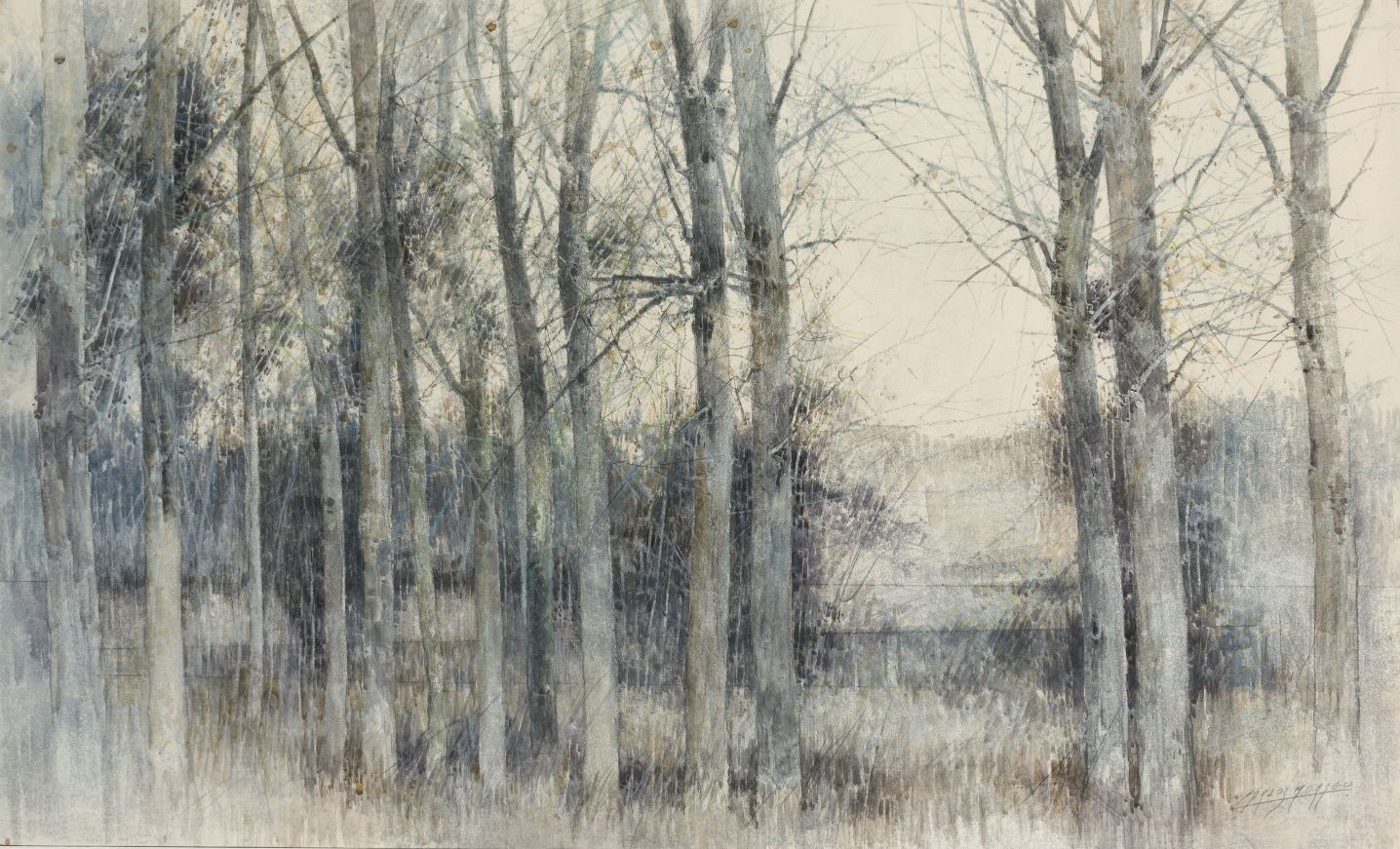 CARLOS MORAGO (1954 / .) "Forest I" 右下角有签名 石墨和水粉画 46 x 76 cm
