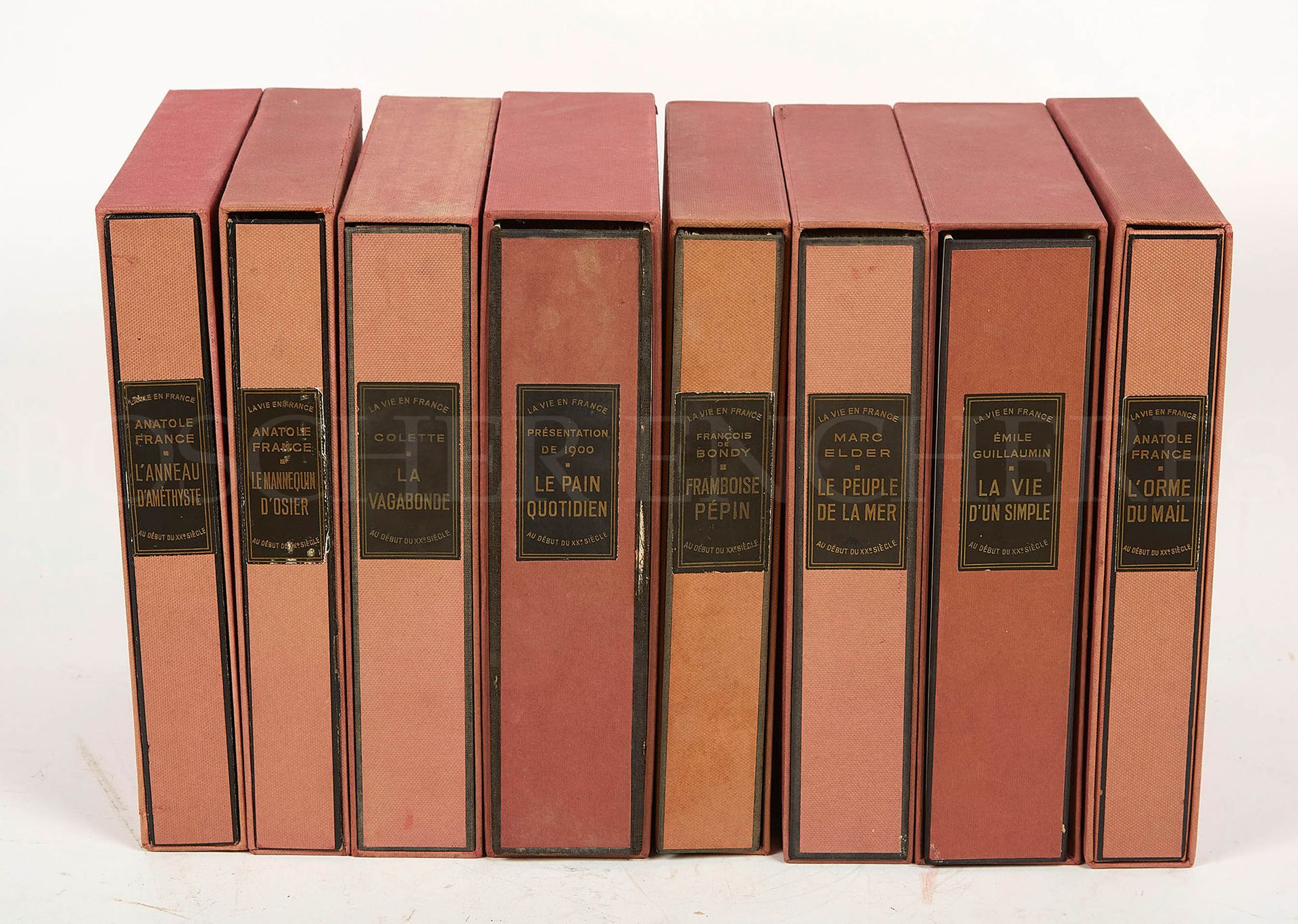 Null Collective. Set of 8 volumes from the collection "La vie en France au début&hellip;