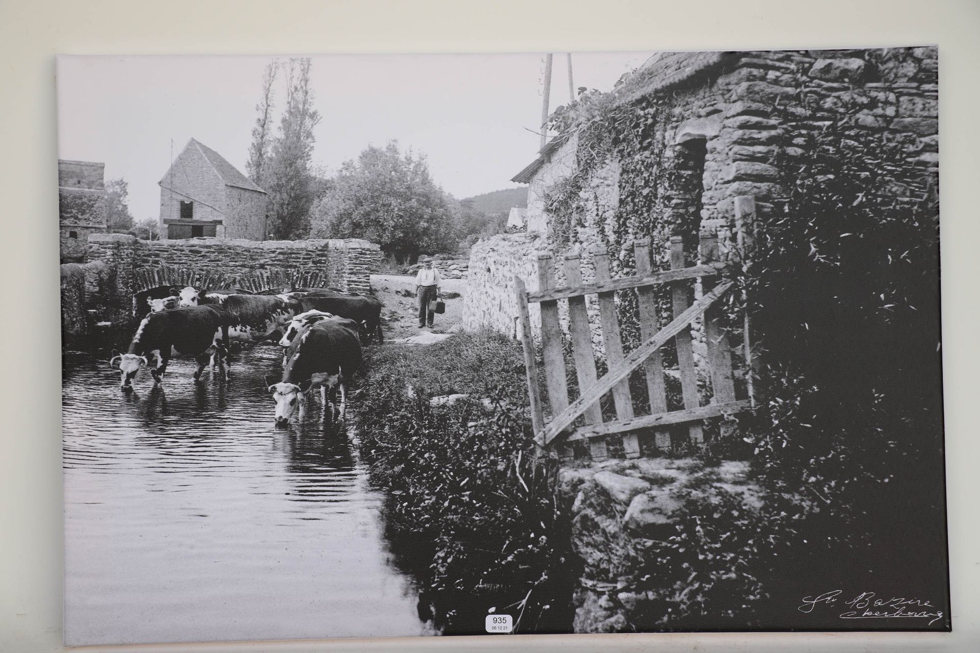 Null BAZIRE Gustave. "Vaches d'abreuvant". Photograph on canvas from glass plate&hellip;