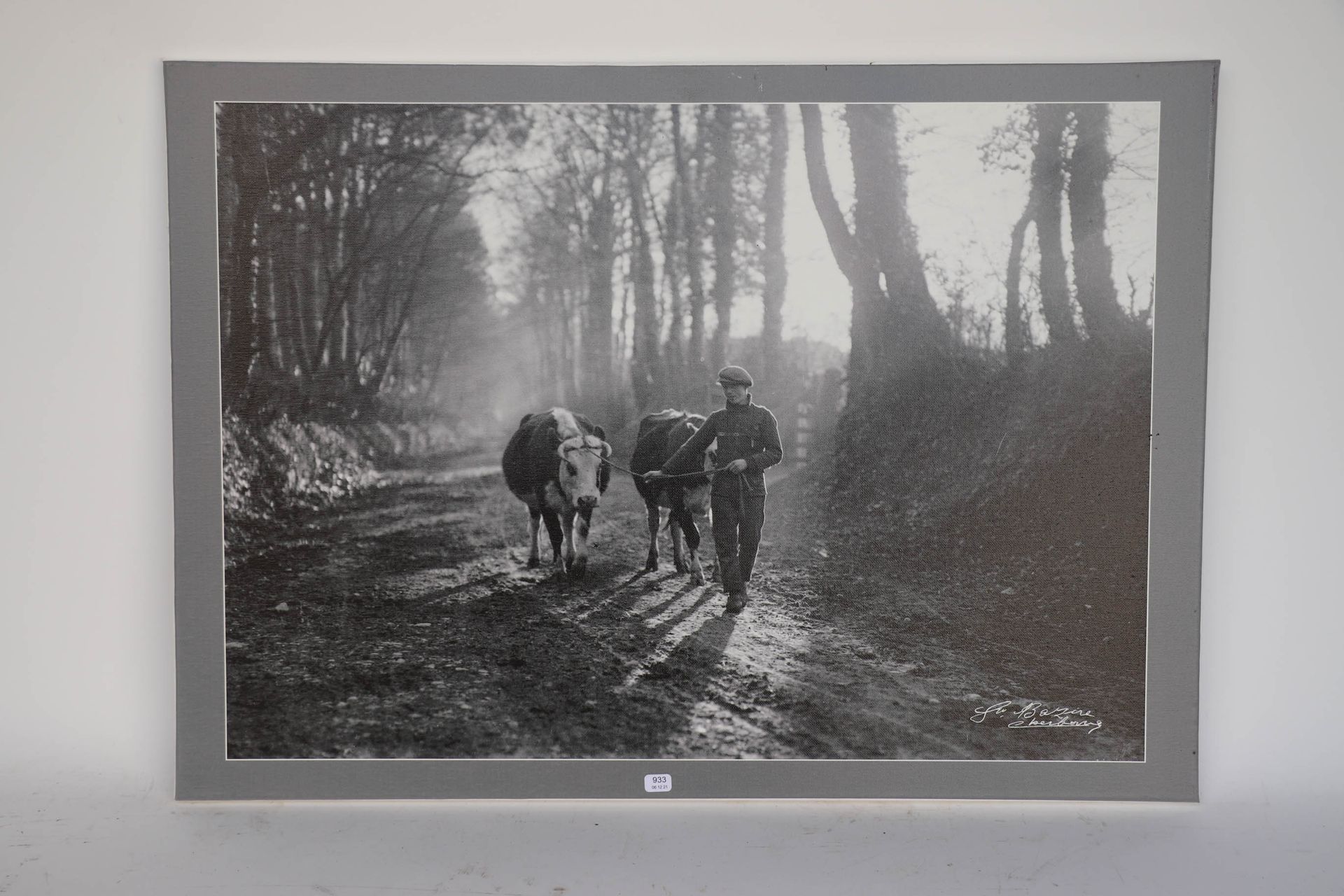 Null 巴兹尔-古斯塔夫。"年轻的农民和两头牛"。Gustave Bazire（1893/1941）根据玻璃板制作的布面照片。50 x 70.