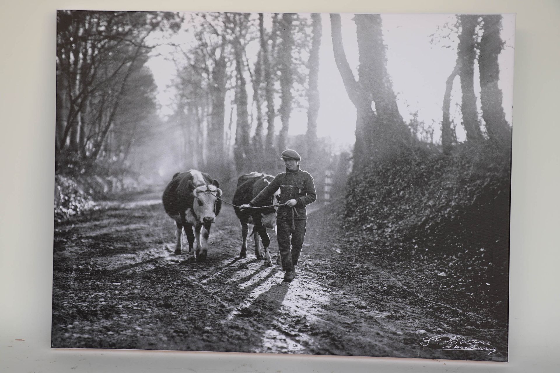 Null 巴兹尔-古斯塔夫。"年轻的农民和两头牛"。古斯塔夫-巴赞（1893/1941）根据玻璃板制作的布面照片。60 x 80.