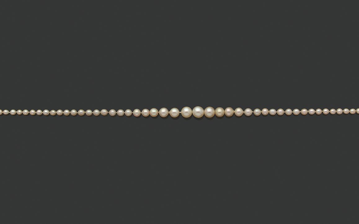 Null «PERLES FINES»
Rang de 134 perles fines en chute
Pb. : 9 gr
Accompagné d'un&hellip;