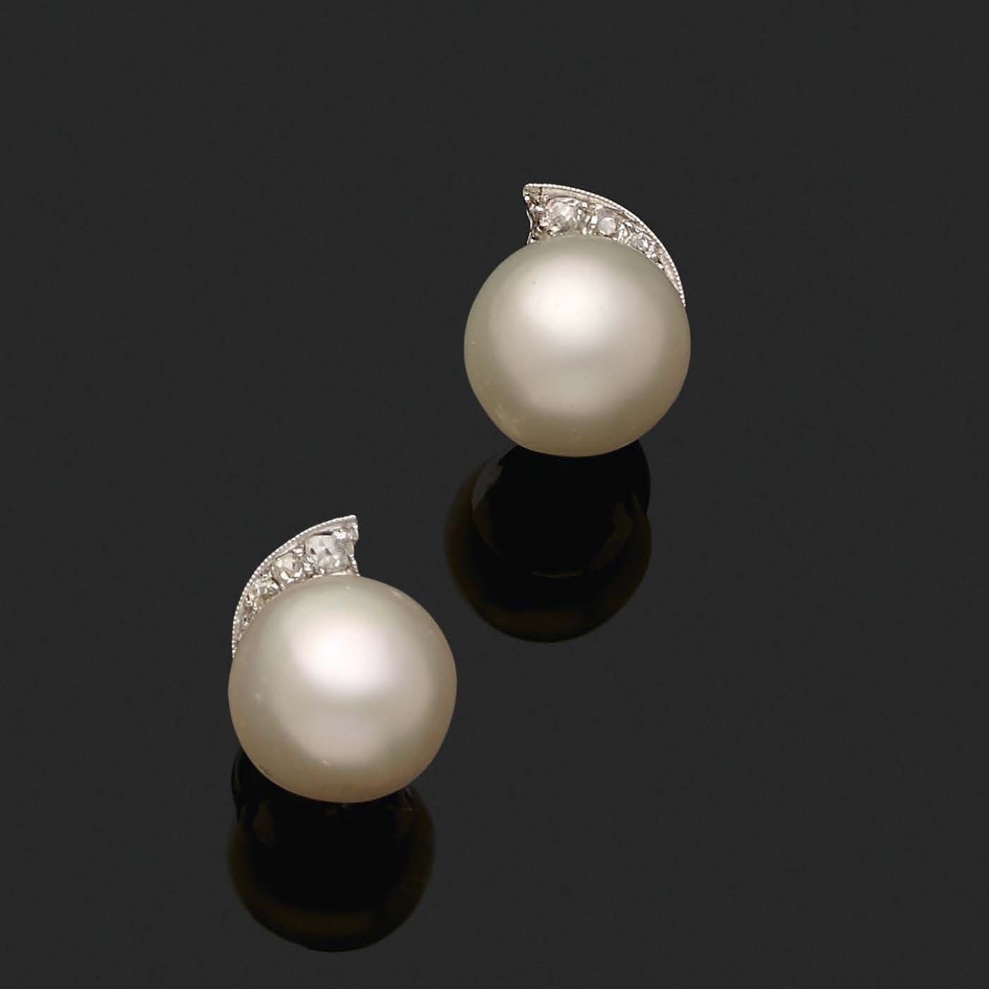 Null «PERLES FINES»
Paire de motifs d'oreilles Perles fines boutons, diamants ta&hellip;