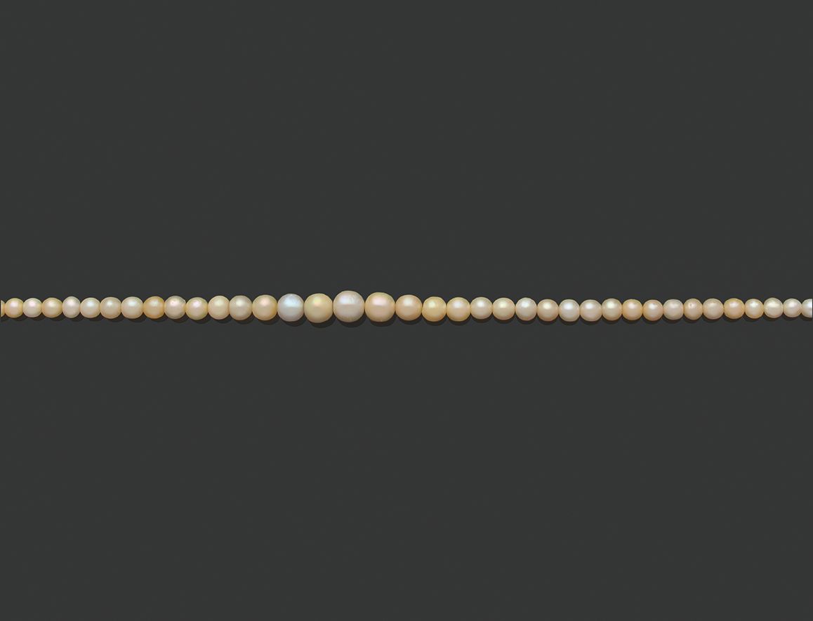 Null «PERLES FINES»
Collier de 85 perles supposées fines, non testées en chute
F&hellip;