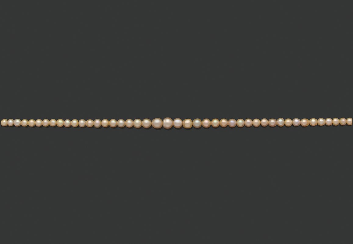 Null «PERLES FINES»
Collier de 85 perles supposées fines, non testées en chute
F&hellip;