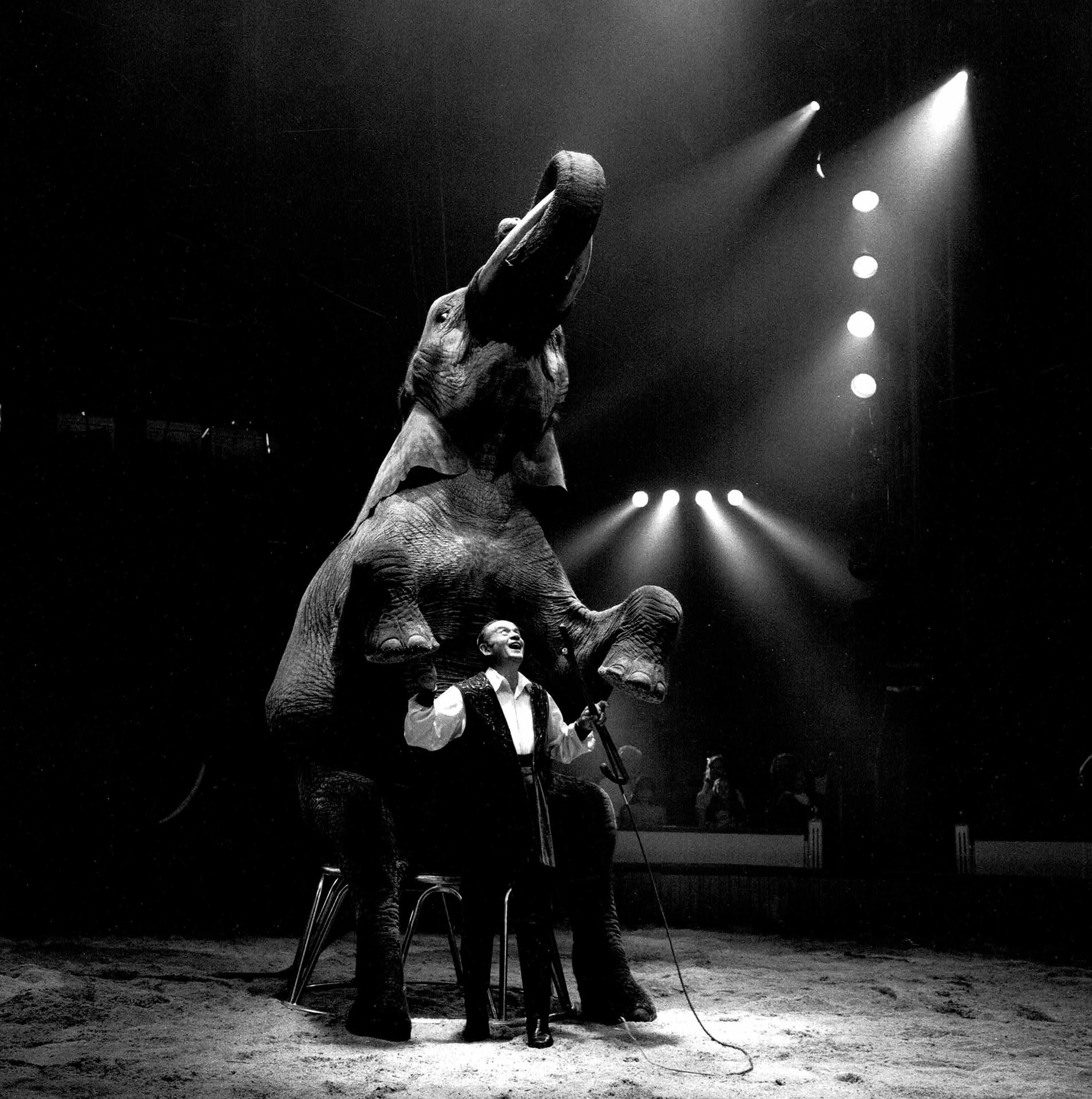 RAPHAËL SCHOTT (1971-) Sans Prix de réserve - 

"Cirque Arlette Gruss, Lucien Gr&hellip;