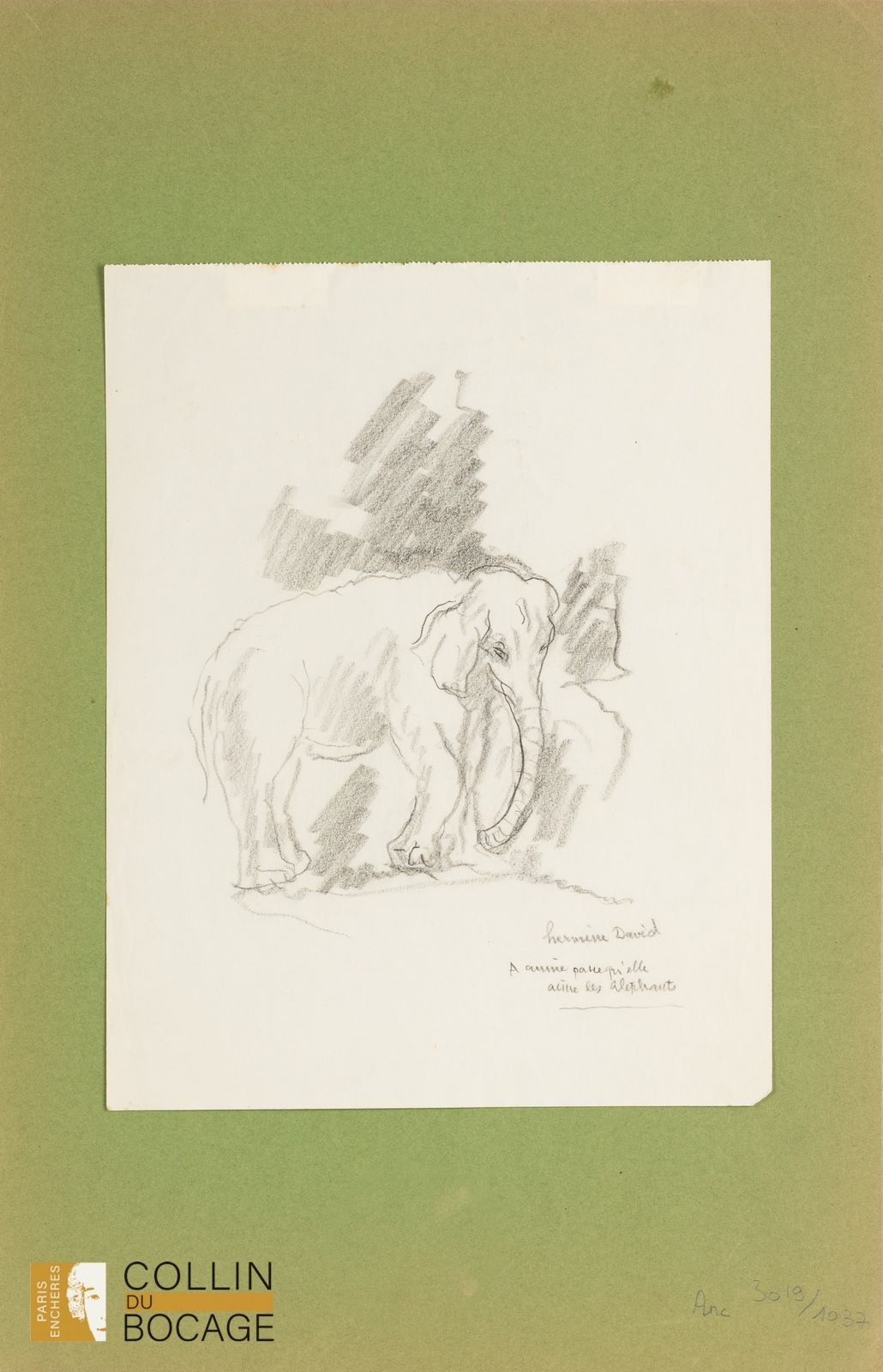 Null 赫米娜-戴维（1900-1970）
大象 木炭画
签名右下方，献给 "安妮，因为她喜欢大象"。
30 x 24 厘米
折叠