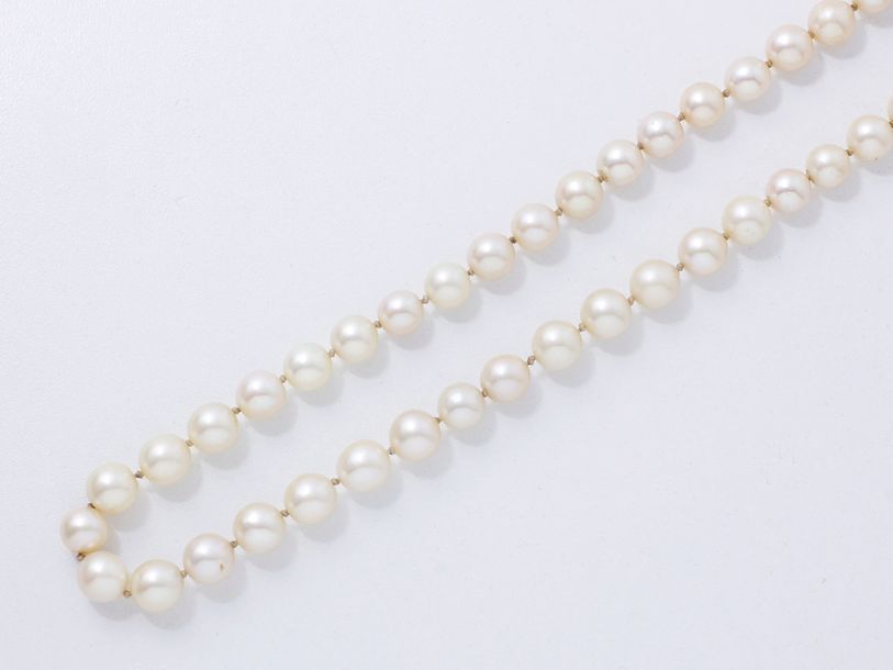 Null Collier composé d'un rang de perles de culture d'environ 7.7 à 8.7 mm, agré&hellip;