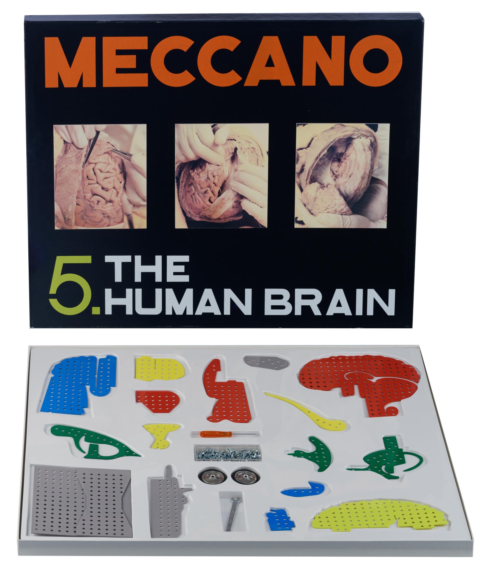 Patrick Van Caeckenbergh (1960), 'The human brain', multiple Mecano, H 4 - W 76,&hellip;