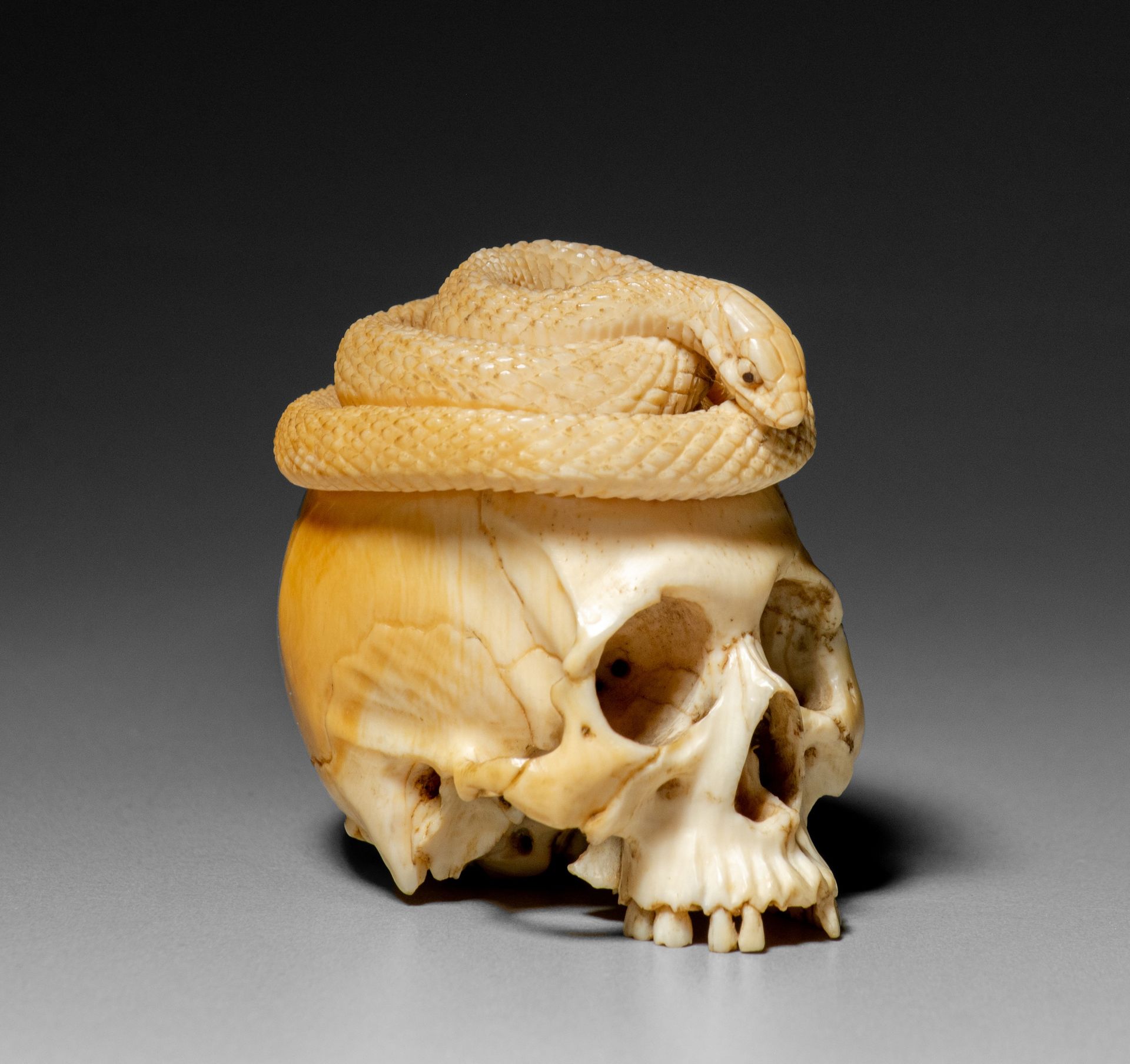 An ivory skull and snake memento mori, in our opinion formerly part of a greater&hellip;