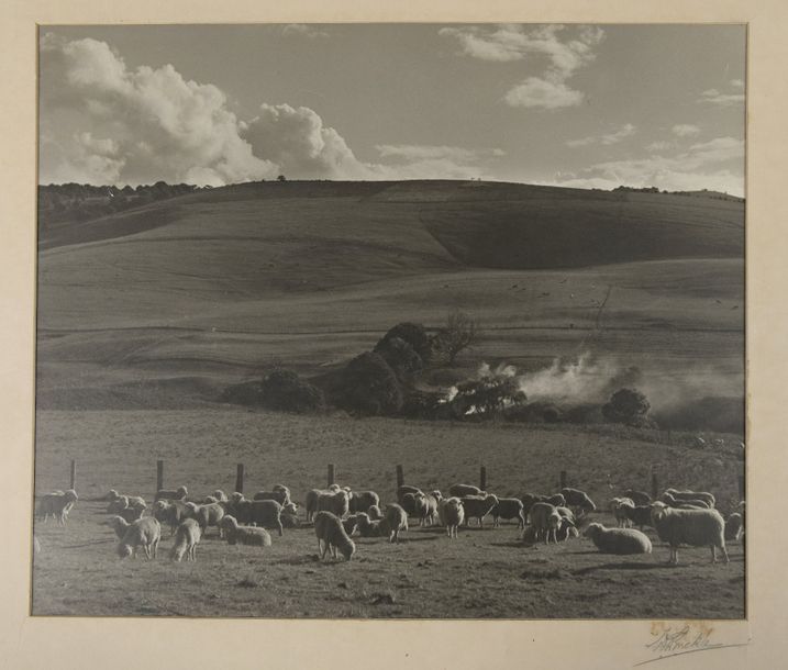 W.G. BUCKLE (1894-1947) 
Photographie de campagne australienne, «Kangaloon
Pasto&hellip;