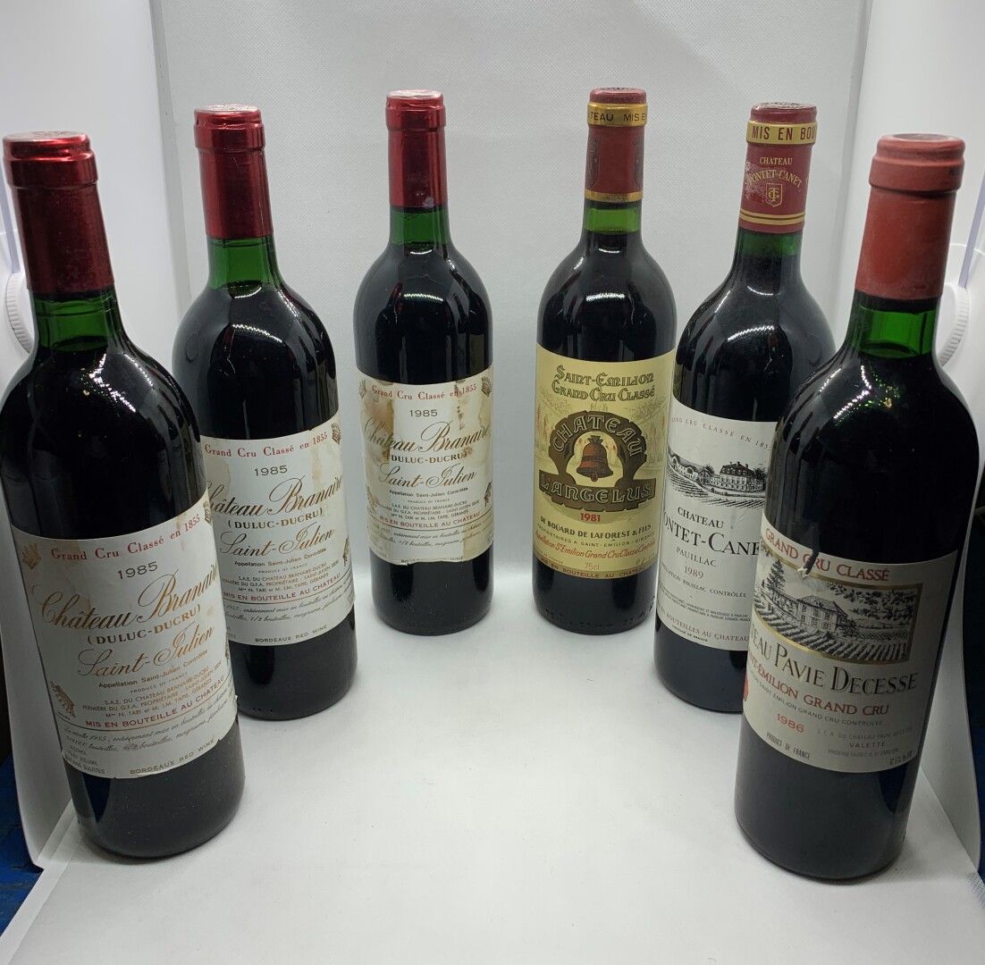 Null 12 bouteilles dont 3 Château BRANAIRE-DUCRU Grand Cru Classé en 1855, Saint&hellip;