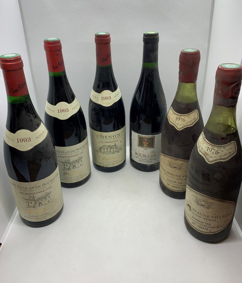 Null 6 bouteilles dont 2 SAINT-NICOLAS DE BOURGUEIL Les Bergeonnettes 1993 de Gu&hellip;