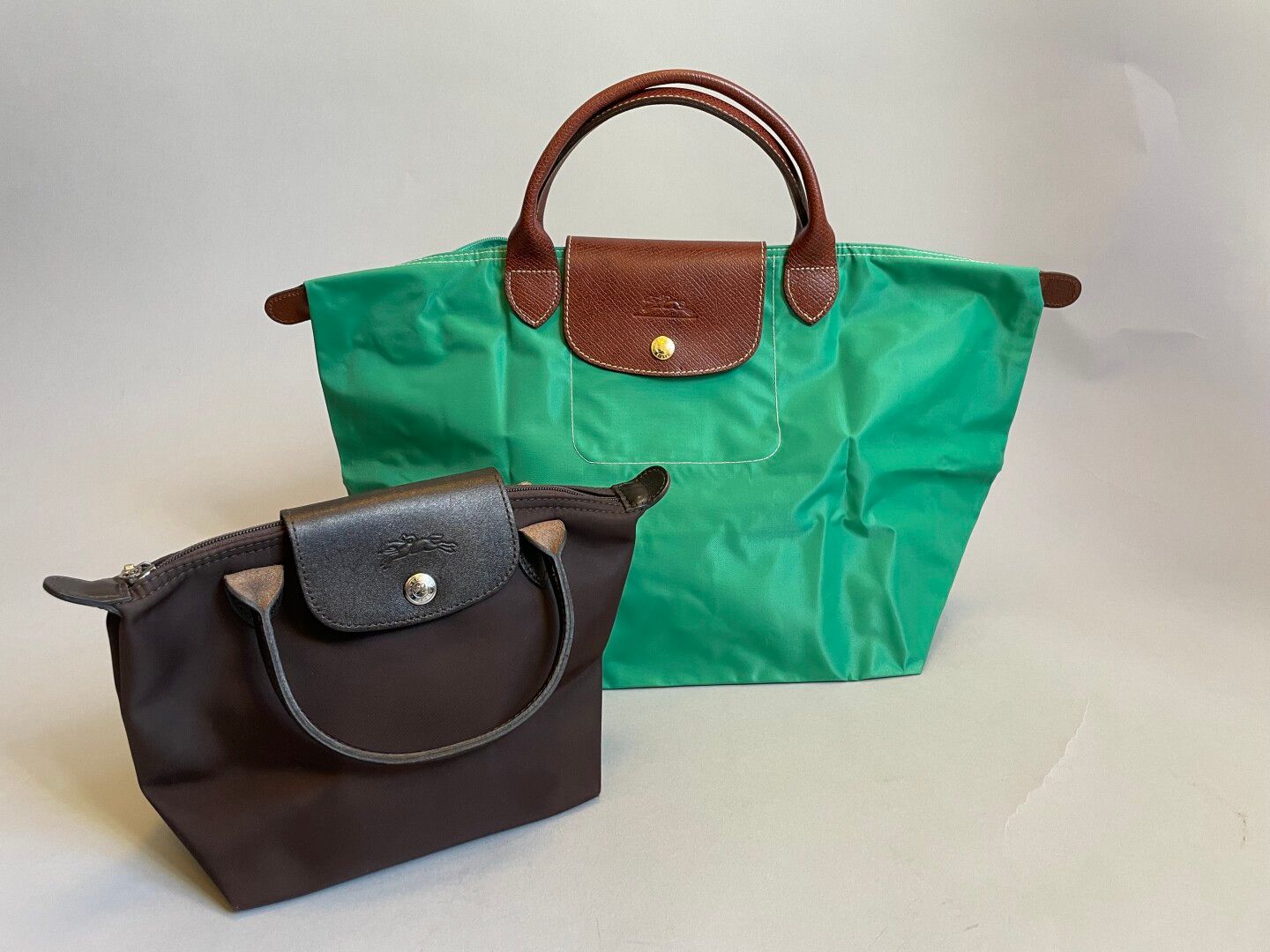 Null LONGCHAMP

Juego de dos bolsas plegables, una marrón de 17 cm y otra verde &hellip;