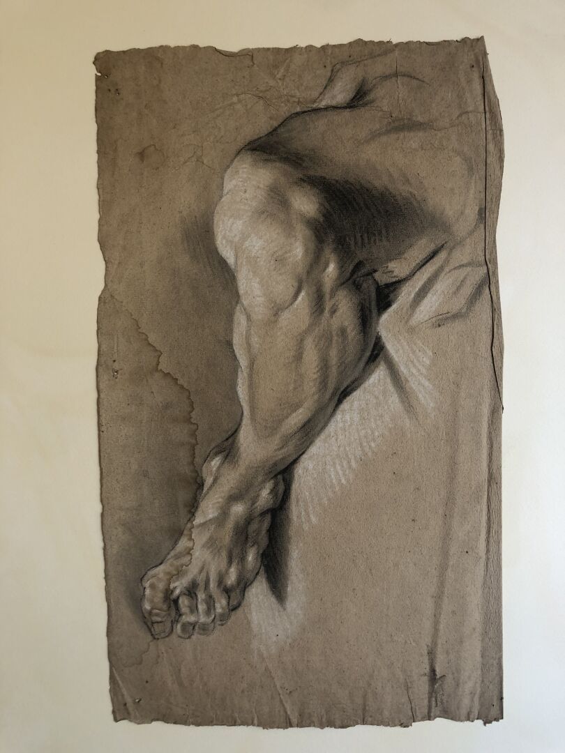Null ANONIMO 

Studio di una gamba, fine del XVIII secolo

Carboncino e lumeggia&hellip;