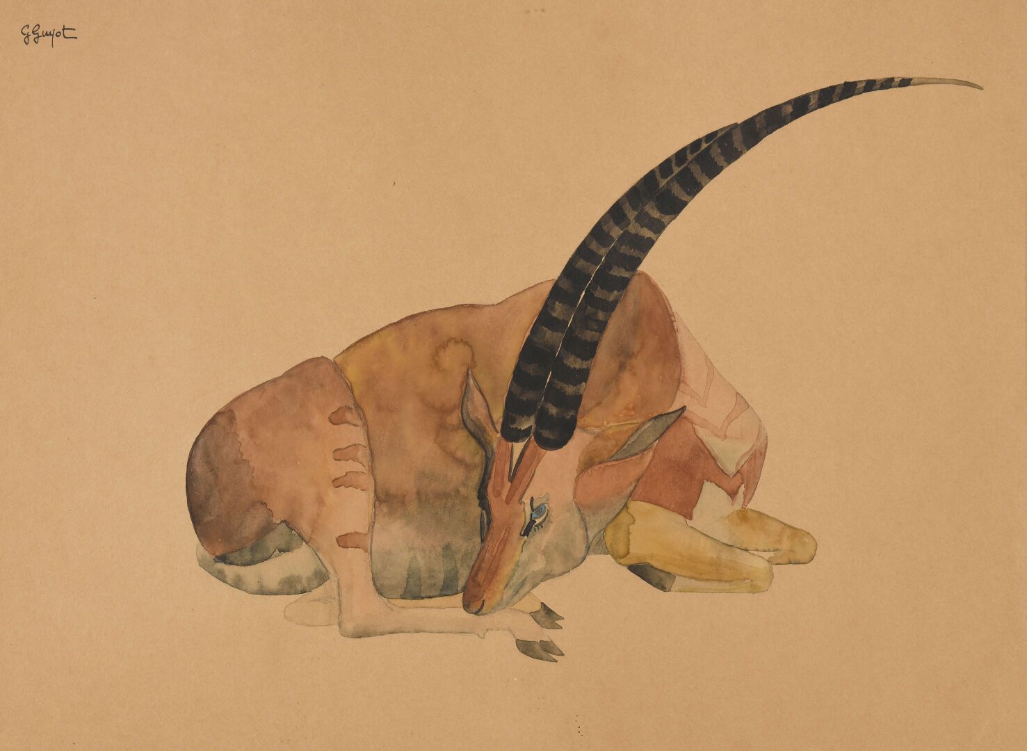 Null Georges GUYOT (1885-1972)
躺着的羚羊
纸上水彩和墨水，左上角签名
左上角。
31.5 x 42.5 cm (展出)