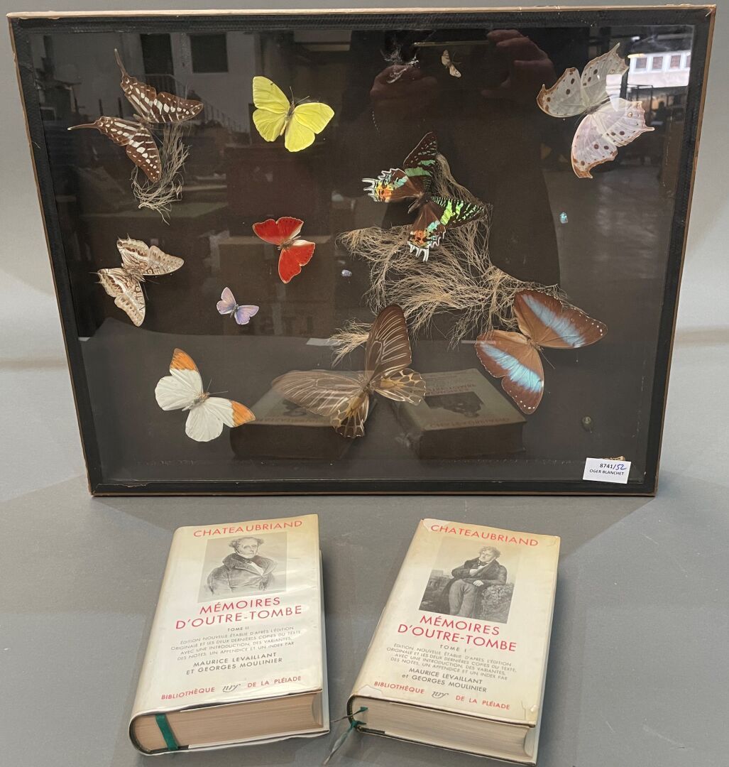 Null Butterflies pricked under glass.
Enclosed:
Two volumes of La Pléiade Chatea&hellip;