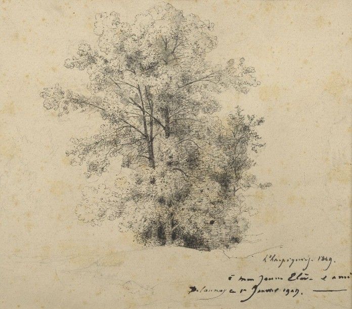 Henri HARPIGNIES (1819-1916) Etude d'arbres, 1849 Mine de plomb, plume et encre &hellip;