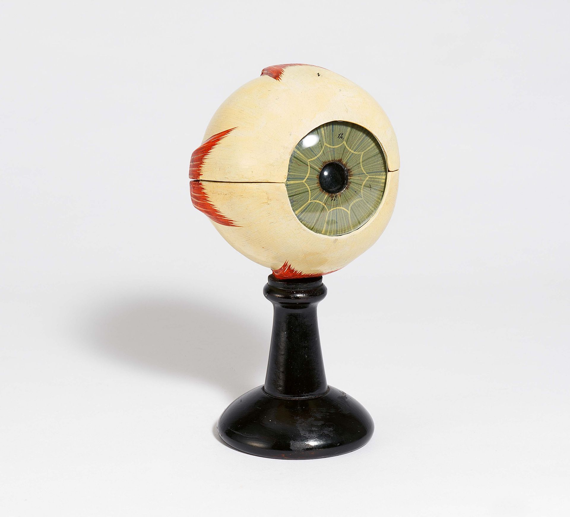 Null ANATOMICAL MODEL OF A HUMAN EYE. 

Date: Ca. 1900. 
Technique: Plaster, pap&hellip;
