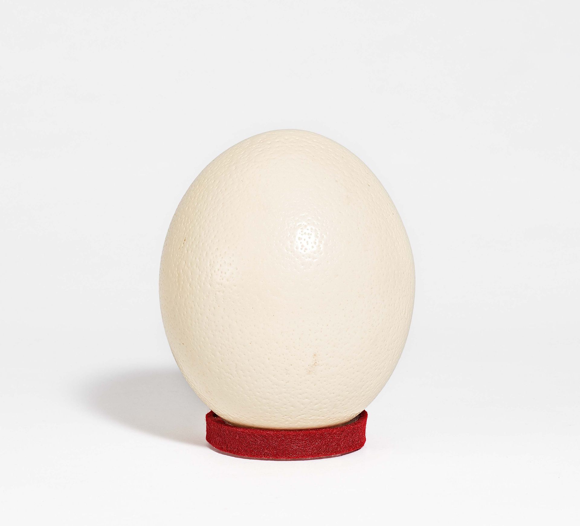 Null OSTRICH EGG. 

Measurement: H. Ca.16cm. 
 
 Estimated Shippingcost for this&hellip;