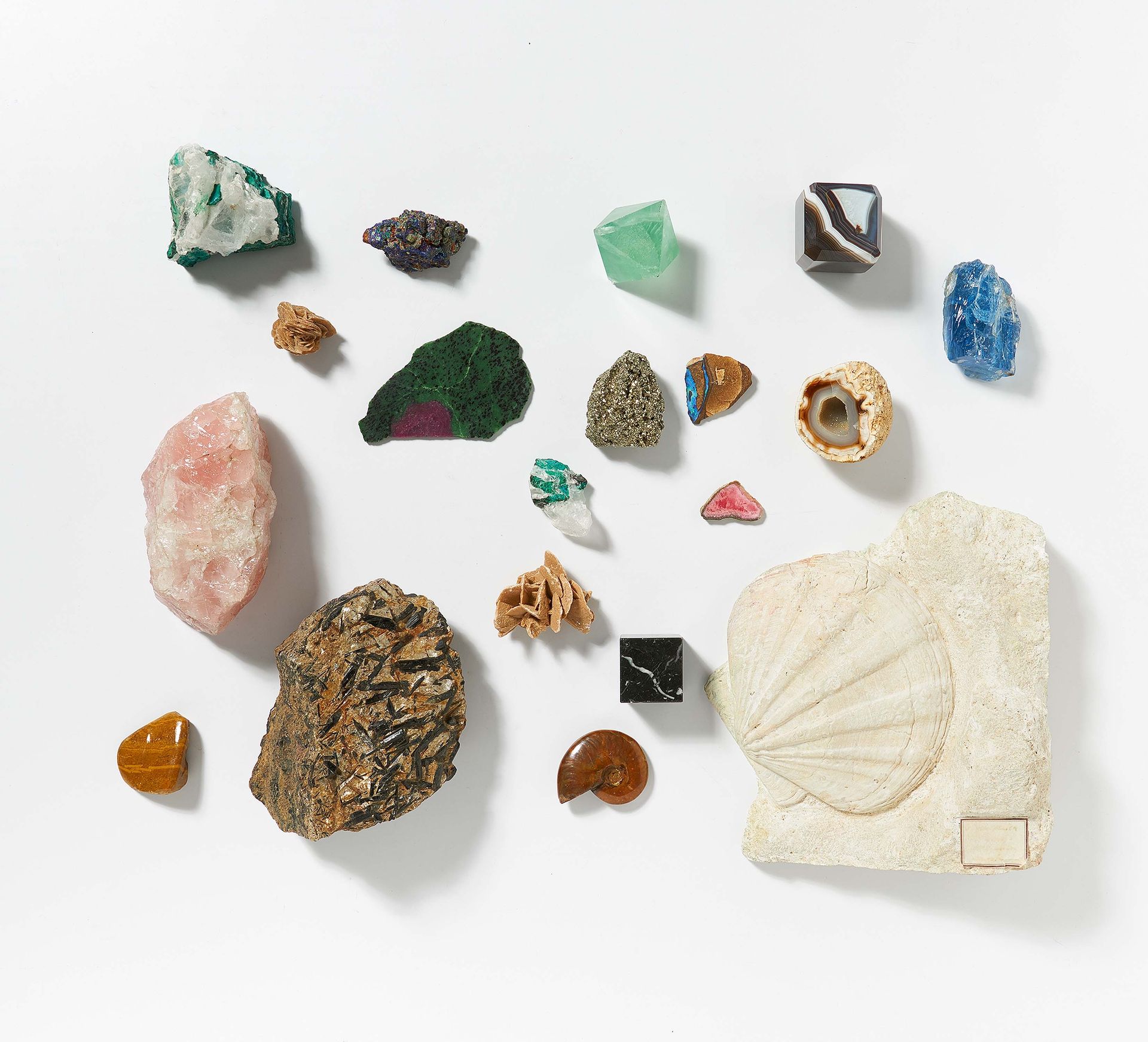 Null GROUP OF VARIOUS MINERALS AND 3 FOSSILIZATIONS. 

Technique: various minera&hellip;