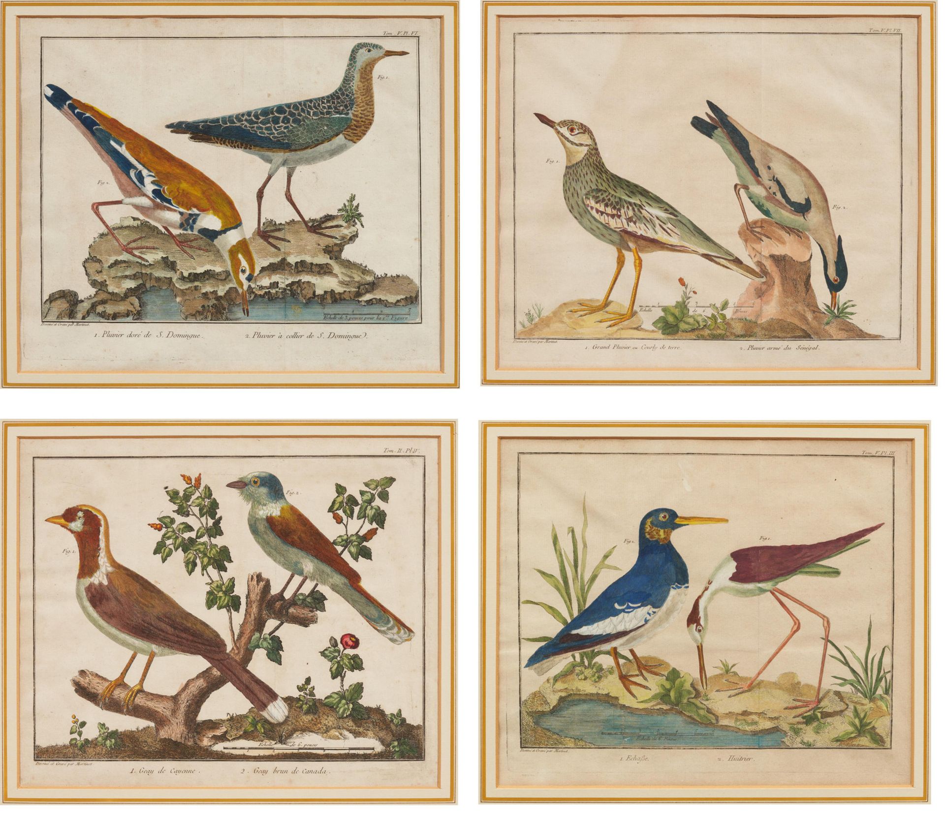 Francois Nicolas Martinet MARTINET, FRANCOIS NICOLAS
1725/31 - 约1804 巴黎

标题： 四幅鸟&hellip;