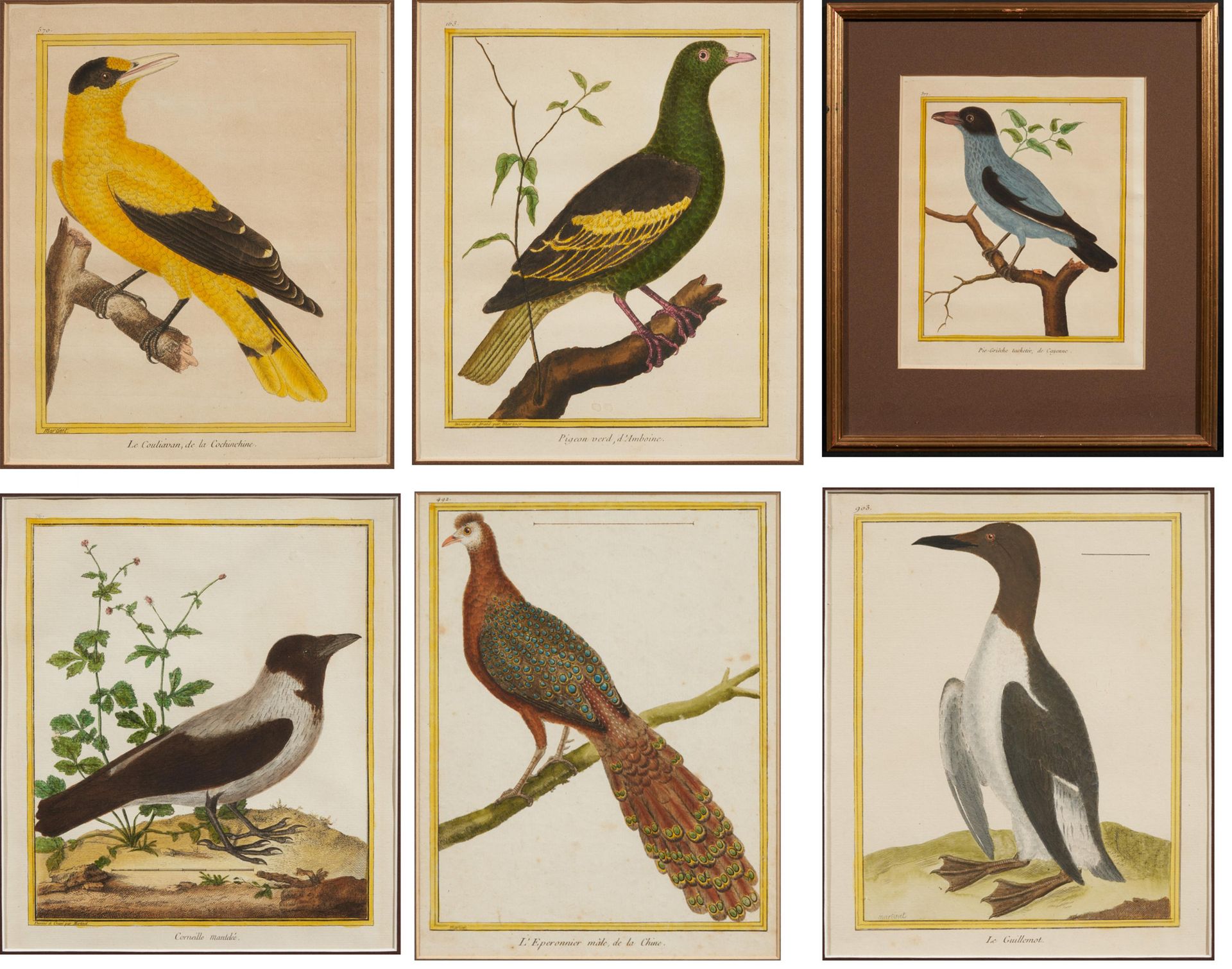 Francois Nicolas Martinet MARTINET, FRANCOIS NICOLAS
1725/31 - 约1804 巴黎

标题： 六种鸟&hellip;