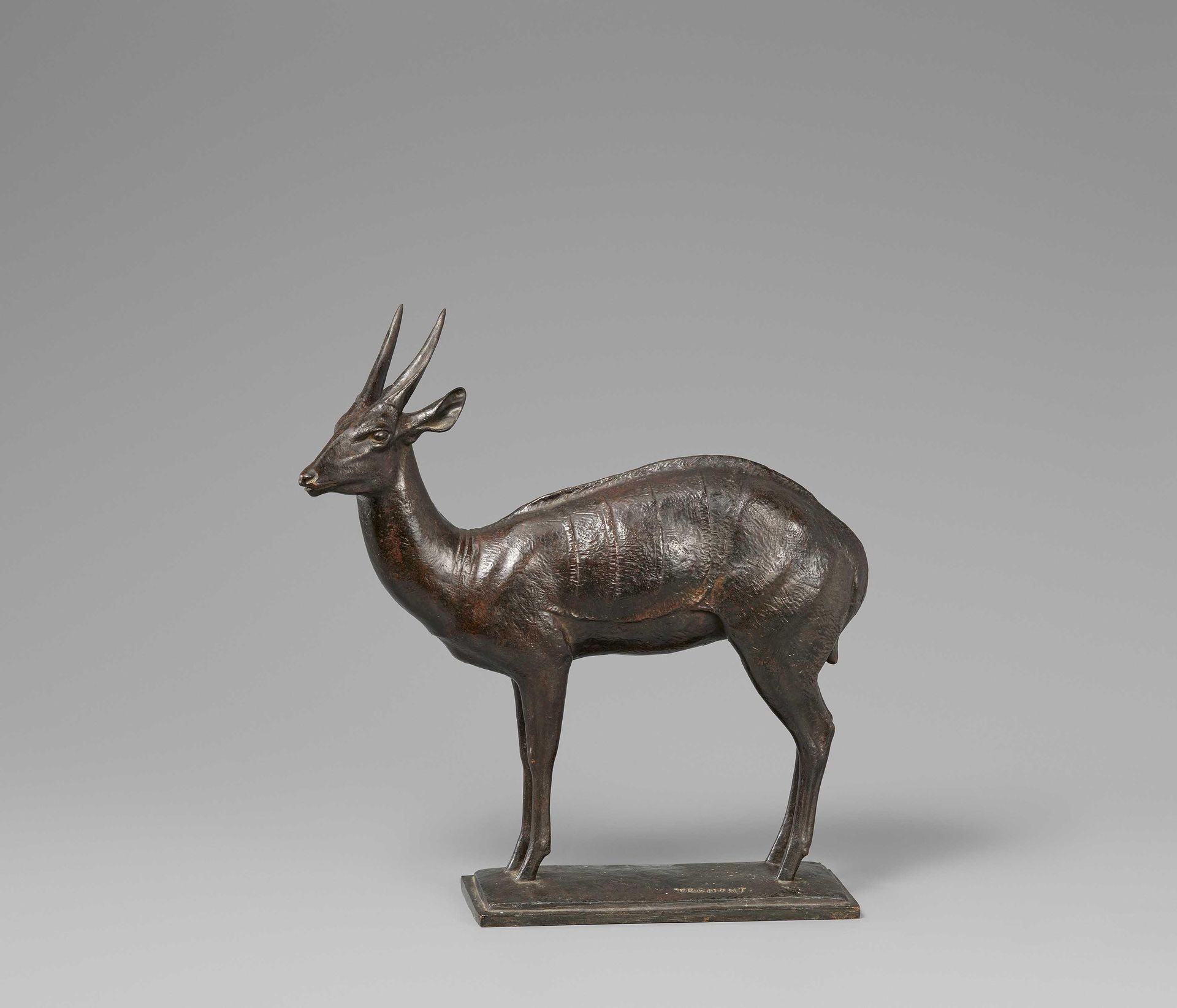 Auguste Trémont TRÉMONT, AUGUSTE
Luxemburg 1892 - 1980

Titel: Guib Antilope. 
T&hellip;