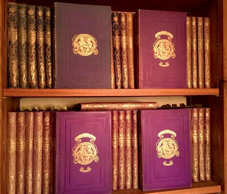 Null Magasin d'Education et de Récréation第一辑（1864-1894）。60本大型半年刊，8°，出版商的全蓝色或紫色珍珠&hellip;