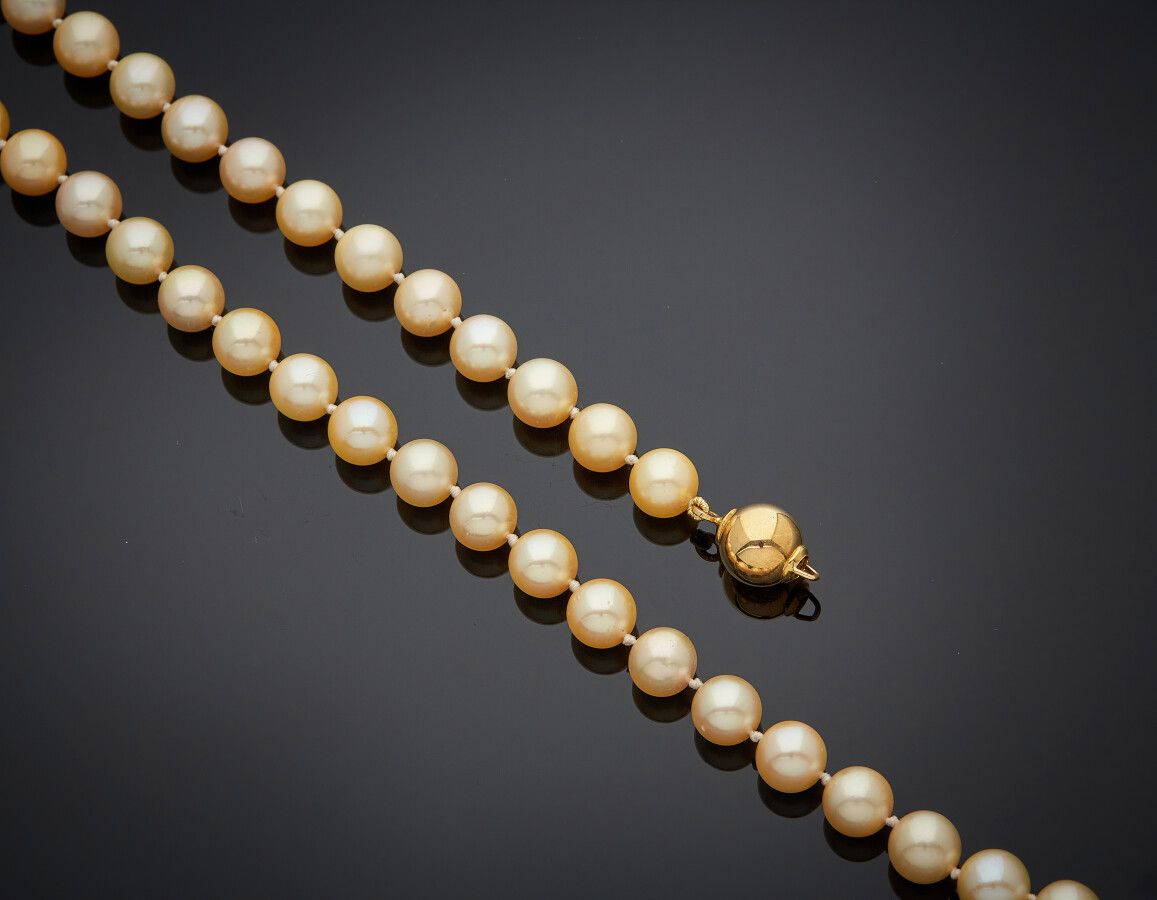 Null 由一排乳白色的养殖珍珠组成的项链。黄金球扣（750）。

法国的工作。

长度：48.5厘米。毛重：42.2克。
