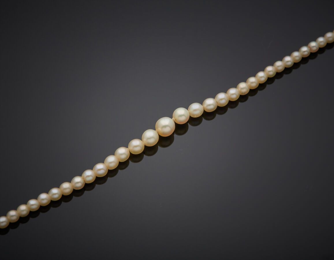 Null 
Fine NECKLACE composed of a row of small, probably fine, falling pearls, c&hellip;