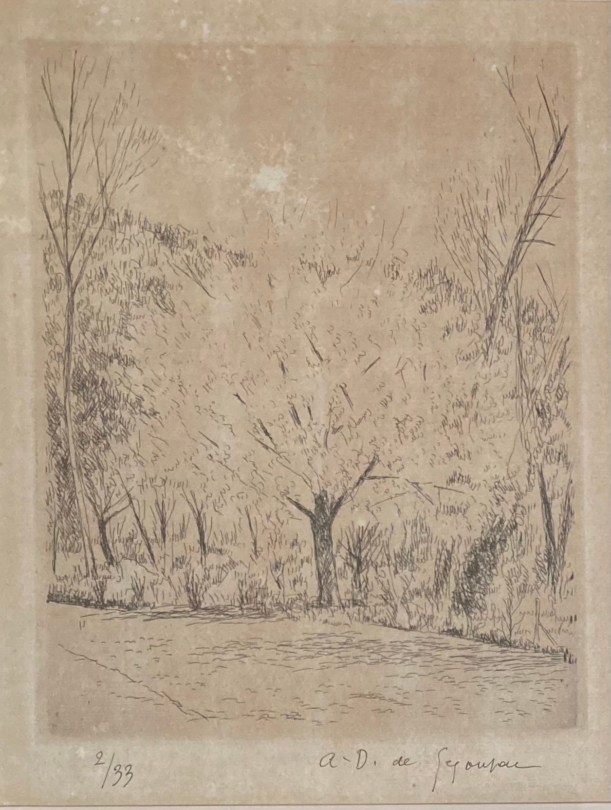 André DUNOYER DE SEGONZAC (1884-1974): 花园。
蚀刻版画，右下方有签名和编号 "2/33"。
视线：25.5 x 19.5&hellip;