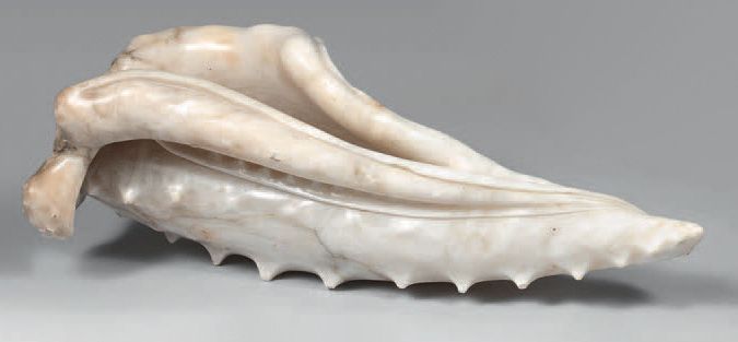 Null Alabaster shell sculpture.
H. : 18,5 cm. Length : 48 cm.
Small chips.