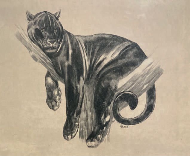 D'après Paul JOUVE (1878-1973): PANTHER LOVED IN A TREE.
黑色炭笔印刷品，右下角有签名。
上图：36 x&hellip;