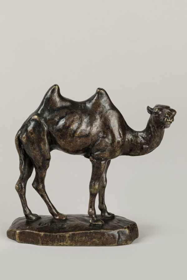 Null 安托万-路易-巴雷（1795-1875 年）。"波斯小骆驼青铜打样，带奖牌铜锈。露台上有签名 "Barye"。 
高 11.4 厘米。长 12.2 厘&hellip;