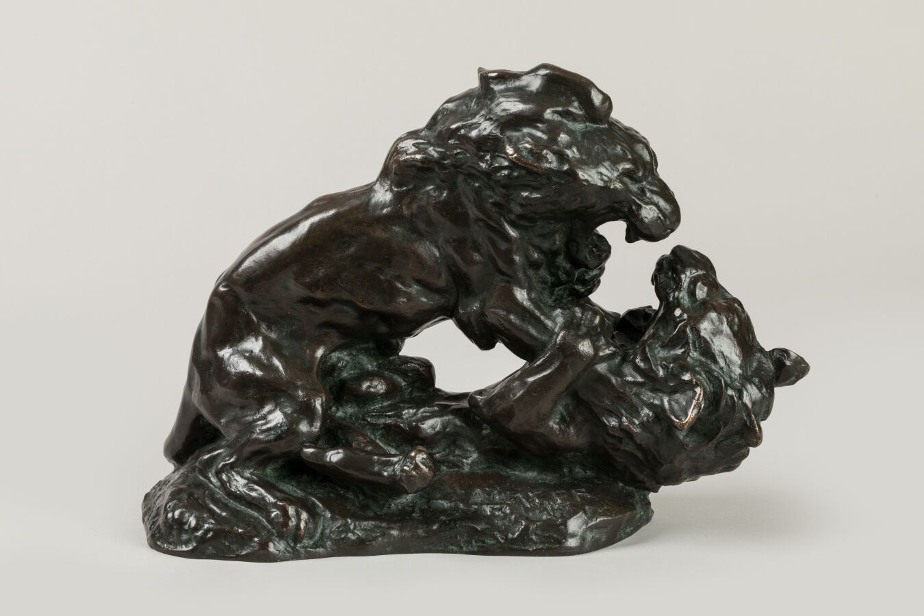 Null HAGER Albert (1857-1940). Combat de deux Lions. Rare groupe en bronze à pat&hellip;