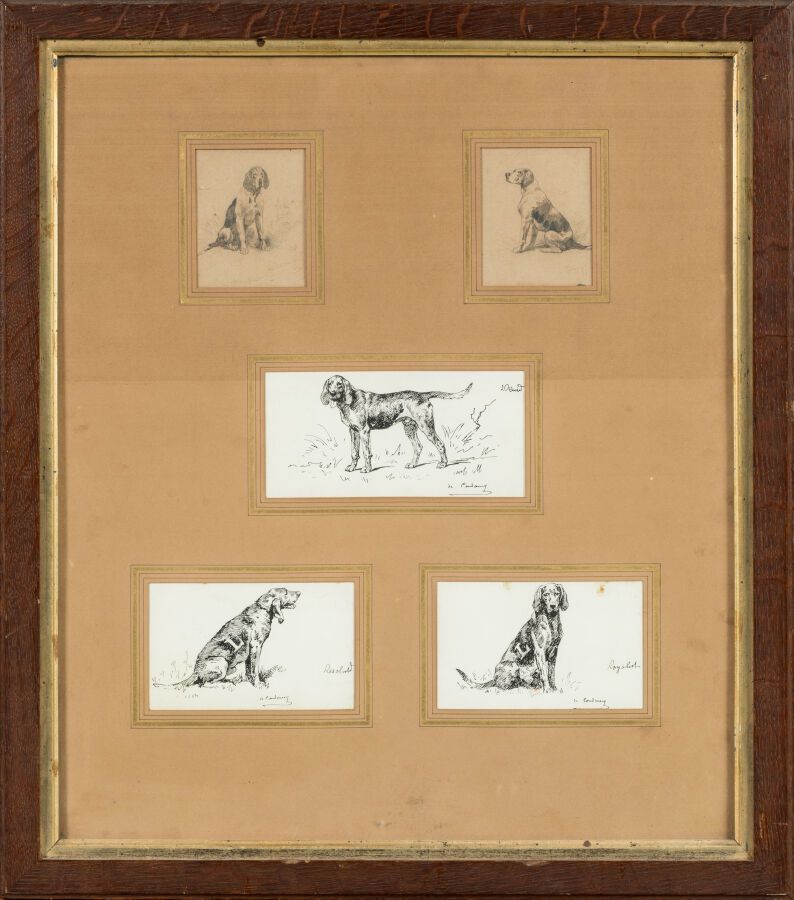 Null De CONDAMY Charles Fernand（1855-1913 年）。"猎犬：诺曼底、布托、德鲁伊、雷索鲁特、保皇党"。一套 5 幅，装在一&hellip;